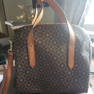 Fossil satchel